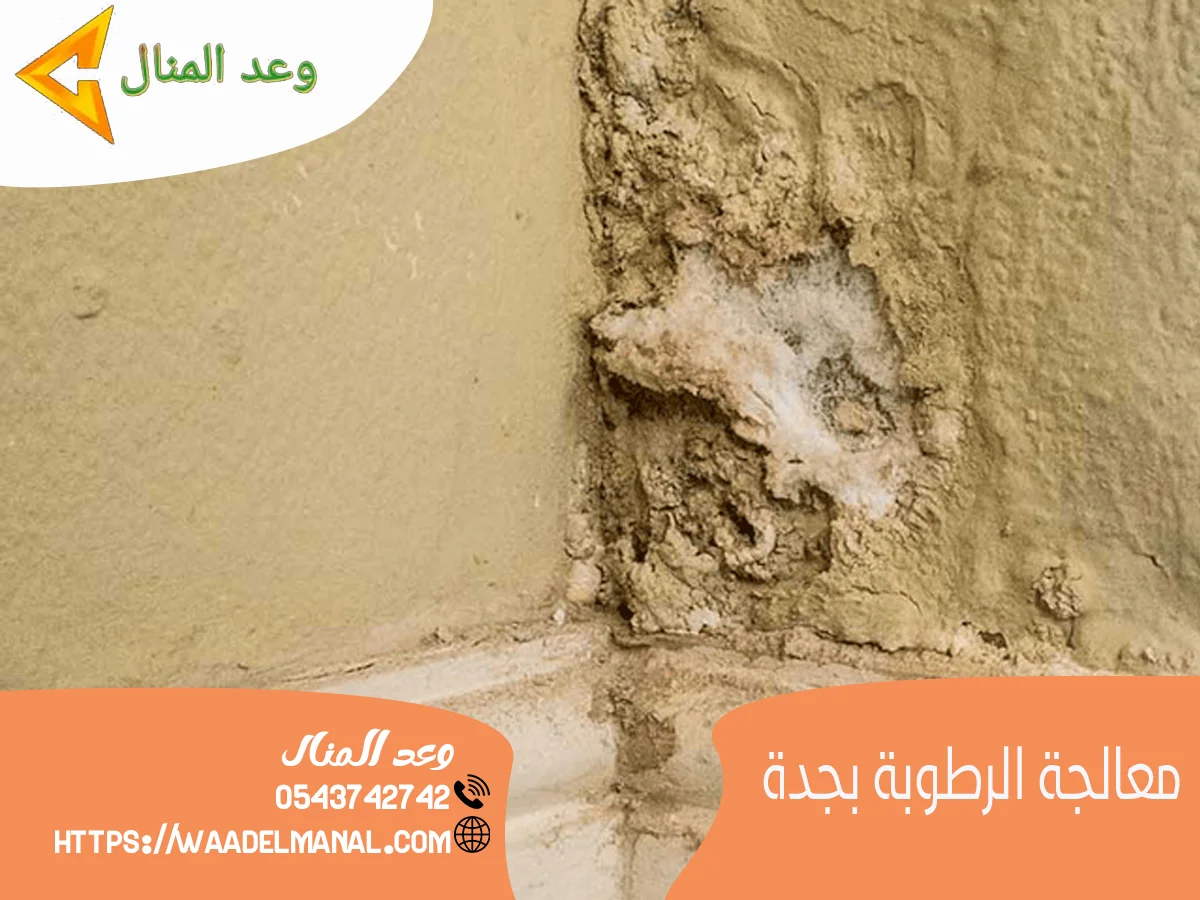 معالجة الرطوبة بجدة