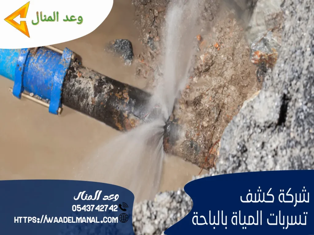 شركة كشف تسربات المياة بالباحة