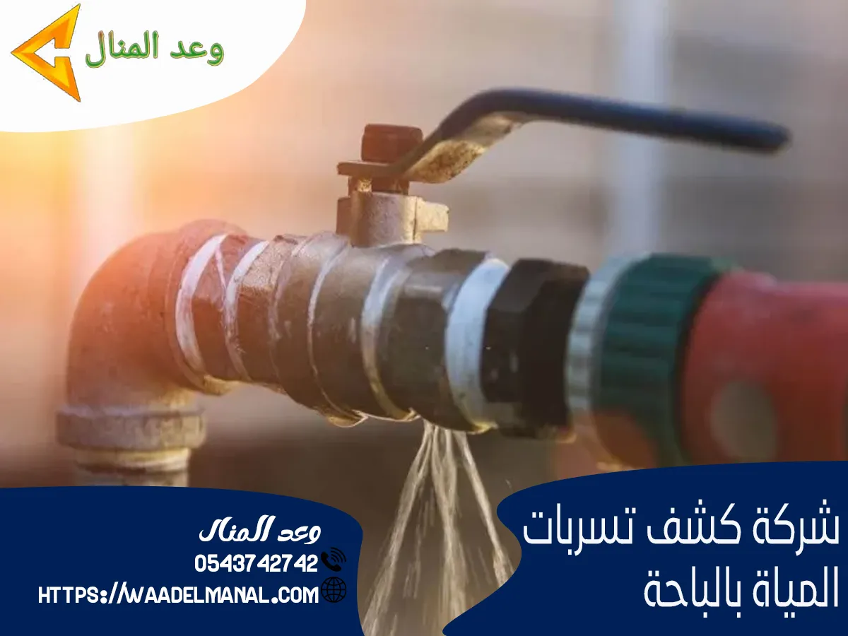 شركة كشف تسربات المياة بالباحة