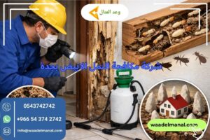 شركة مكافحة النمل الابيض بجدة