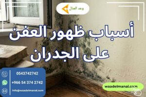 أسباب ظهور العفن على الجدران