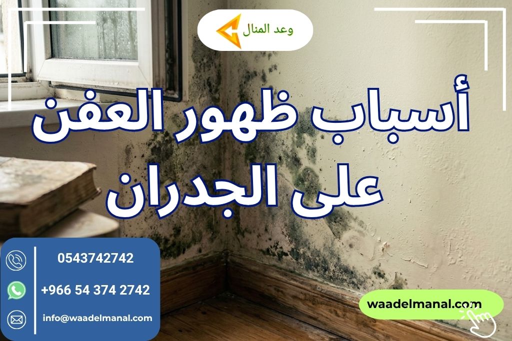 أسباب ظهور العفن على الجدران