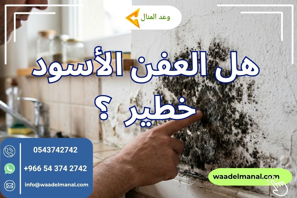 هل العفن الأسود خطير