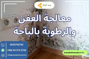 معالجة العفن والرطوبة بالباحة