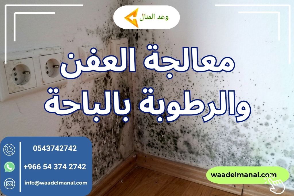 معالجة العفن والرطوبة بالباحة